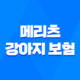 2025년 맞춤 메리츠 강아지 보험 - 꼼꼼 비교 분석으로 우리 댕댕이에게 딱 맞는 보험 찾기 31