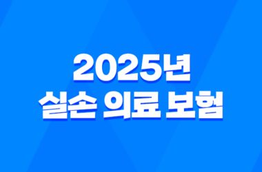 2025년 실손 의료 보험 : 꼭 알아야 할 변경 사항과 현명한 가입 전략 - 가입, 조회, 청구, 연말정산까지 완벽 정리 13