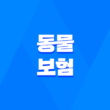 동물 보험 - 2025년, 사랑하는 반려동물을 위한 필수 가이드 1