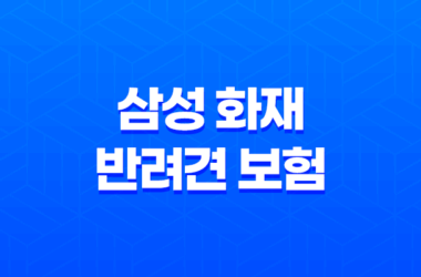 2025년 삼성 화재 반려견 보험 안심하고 댕댕이와 함께 - 삼성 화재 반려견 보험 꼼꼼 분석 9
