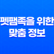 슬기로운 2025년 반려견 보험 가이드 - 펫팸족을 위한 맞춤 정보 5