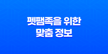 슬기로운 2025년 반려견 보험 가이드 - 펫팸족을 위한 맞춤 정보 45