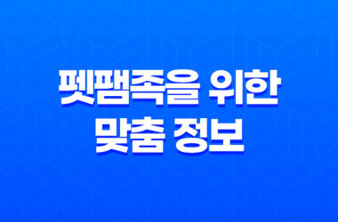 슬기로운 2025년 반려견 보험 가이드 - 펫팸족을 위한 맞춤 정보 7