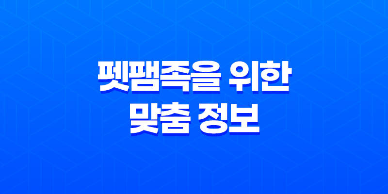 슬기로운 2025년 반려견 보험 가이드 - 펫팸족을 위한 맞춤 정보 8 슬기로운 2025년 반려견 보험 가이드 - 펫팸족을 위한 맞춤 정보 7