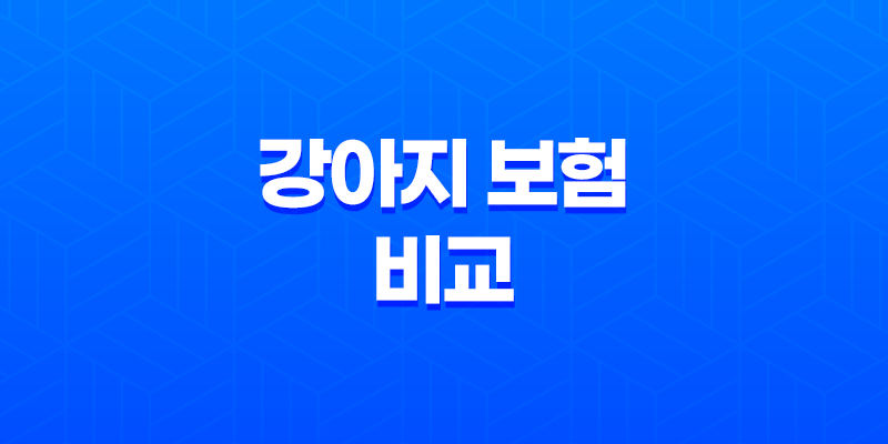 2025년 강아지 보험 비교 - 10가지 핵심 정보와 가입 후기, 가격, 추천 총정리 8 2025년 강아지 보험 비교 - 10가지 핵심 정보와 가입 후기, 가격, 추천 총정리 7