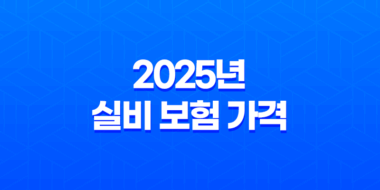 2025년 실비 보험 가격 : 완벽 분석 및 비교 - 20대, 인상, 우체국, 디시, 더쿠, 비교 29
