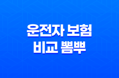 2025년 운전자 보험 비교 뽐뿌 - 최신 정보와 가성비 좋은 상품 완벽 분석 29