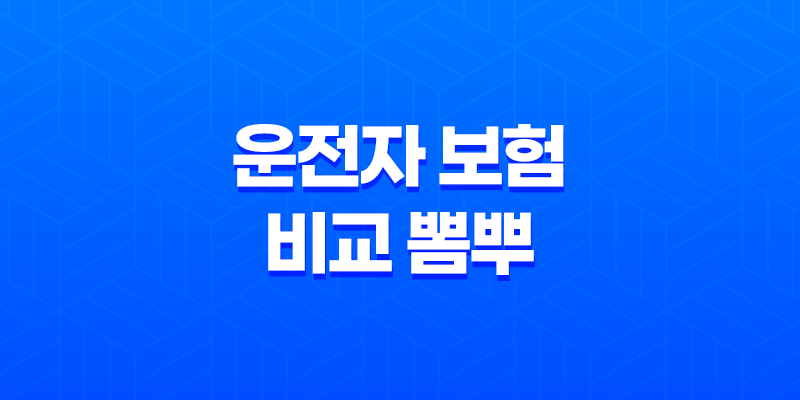 2025년 운전자 보험 비교 뽐뿌 - 최신 정보와 가성비 좋은 상품 완벽 분석 7