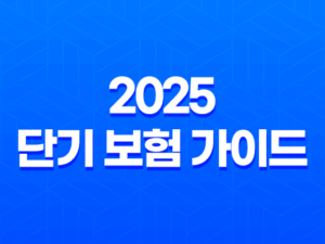 2025 단기 보험 가이드 - 짧지만 강력한 보장의 모든 것 - 예측불허의 순간을 위함 21