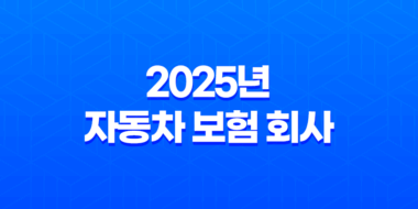 2025년 자동차 보험 회사 선택 가이드 - 10가지 핵심 정보와 회사별 순위 및 추천 29