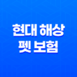현대 해상 펫 보험 우리 아이 위한 최고의 선택 - 2025년 완벽 분석과 꼼꼼 가이드 11