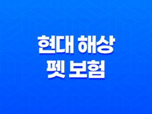 현대 해상 펫 보험 우리 아이 위한 최고의 선택 - 2025년 완벽 분석과 꼼꼼 가이드 19