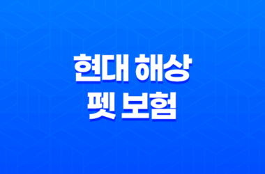 현대 해상 펫 보험 우리 아이 위한 최고의 선택 - 2025년 완벽 분석과 꼼꼼 가이드 23