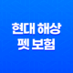 현대 해상 펫 보험 우리 아이 위한 최고의 선택 - 2025년 완벽 분석과 꼼꼼 가이드 41