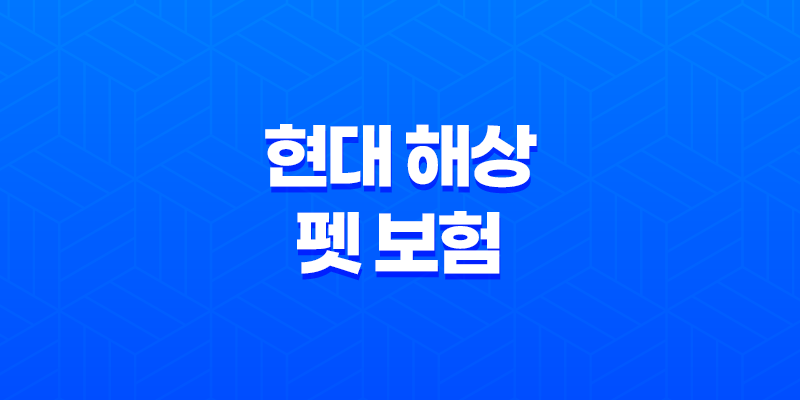 현대 해상 펫 보험 우리 아이 위한 최고의 선택 - 2025년 완벽 분석과 꼼꼼 가이드 7