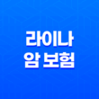 라이나 암 보험의 모든 것, 2025년 최신 정보와 10가지 핵심 분석 11