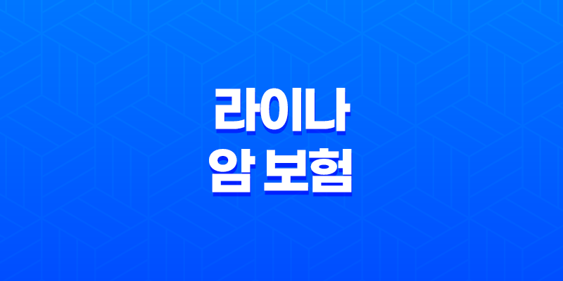라이나 암 보험의 모든 것, 2025년 최신 정보와 10가지 핵심 분석 7