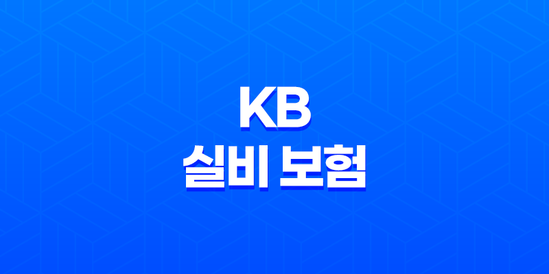 KB 실비 보험 - 2025년 최신 정보 : 청구 방법, 서류, 고객 센터, 도수 치료 완벽 정리 7