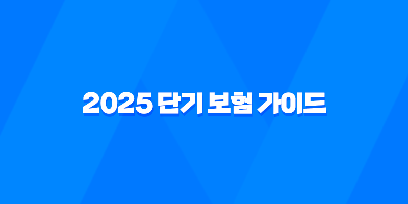 2025 단기 보험 가이드 - 짧지만 강력한 보장의 모든 것 - 예측불허의 순간을 위함 7