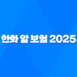 한화 암 보험 2025 : 10가지 주요 상품 완전 분석 - 나에게 맞는 보험은? 19