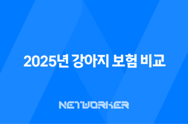 2025년 강아지 보험 비교 - 10가지 핵심 정보와 가입 후기, 가격, 추천 총정리 15