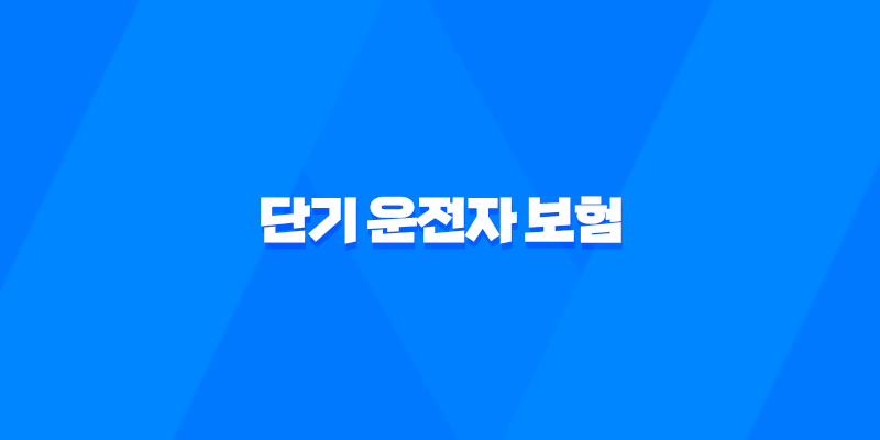 단기 운전자 보험 - 2025년 1일, 당일, 가격, 디시, 취소, 비교, 추천, 방법, DB, 동부화재 총정리 7