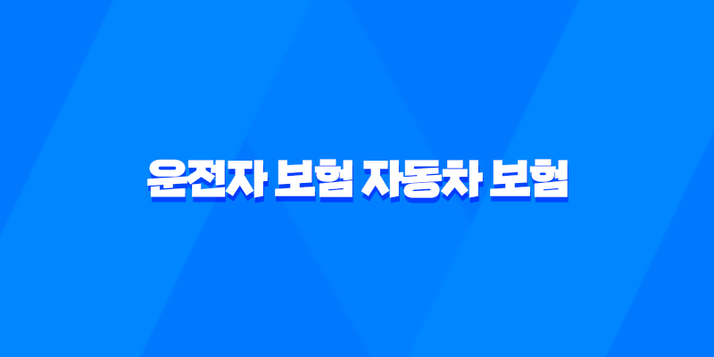 2025년 알아야 할 운전자 보험 자동차 보험 - 핵심 비교 분석과 현명한 선택 가이드 8 2025년 알아야 할 운전자 보험 자동차 보험 - 핵심 비교 분석과 현명한 선택 가이드 7