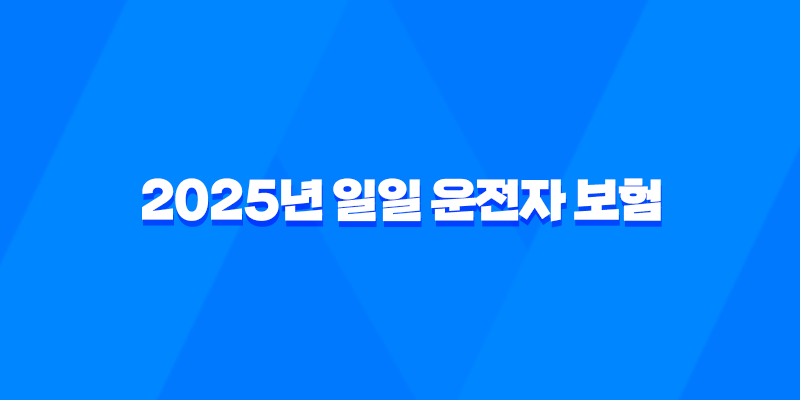 2025년 일일 운전자 보험 : 10가지 핵심 정보와 가격 비교 - 완벽 가이드 7