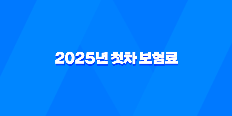 2025년 첫차 보험료 완전 정복 : 20대, 30대, 중고차, 계산, 평균, 디시 후기 총정리 8 2025년 첫차 보험료 완전 정복 : 20대, 30대, 중고차, 계산, 평균, 디시 후기 총정리 7