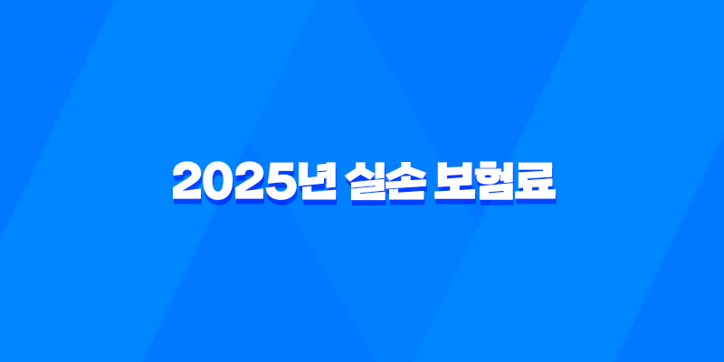 2025년 실손 보험료 - 인상 요인 분석 및 현명한 대비 전략 10가지 8 2025년 실손 보험료 - 인상 요인 분석 및 현명한 대비 전략 10가지 7