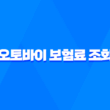 2025년 오토바이 보험료 조회 - 총정리 및 비교 (125cc, 300cc, 20대, 한달) 5