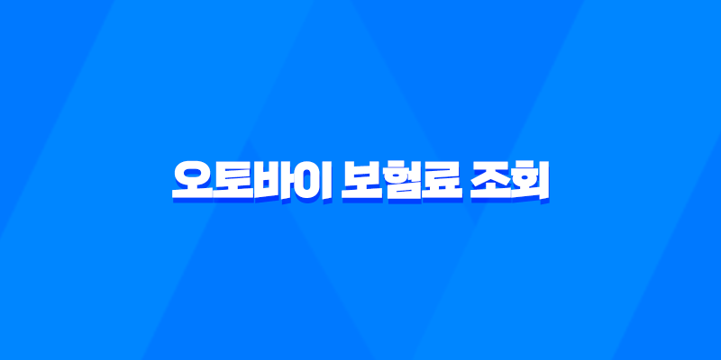 2025년 오토바이 보험료 조회 - 총정리 및 비교 (125cc, 300cc, 20대, 한달) 7