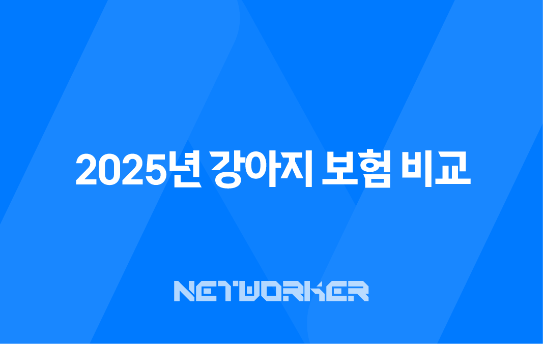 2025년 강아지 보험 비교 - 10가지 핵심 정보와 가입 후기, 가격, 추천 총정리 7
