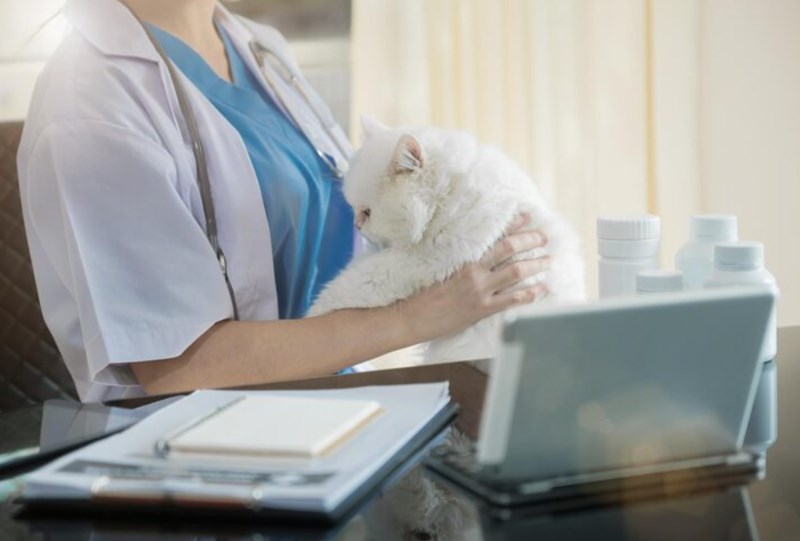 전국민신용등급무료조회 - 똑똑하게 확인하고 신용점수 올리는 방법 대공개! 22 전국민신용등급무료조회 - 똑똑하게 확인하고 신용점수 올리는 방법 대공개! 21