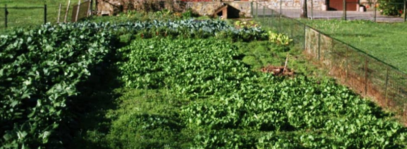 시골땅 담보대출, 이용 가능한 곳과 조건을 알아보자! 7 시골땅 담보대출