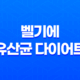 벨기에 유산균 다이어트 트리플러스 장 건강과 다이어트에 도움을 주는 제품 성분, 효능, 가격, 섭취 방법, 후기, 부작용 21