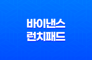 바이낸스 런치패드 참여 완벽 가이드 - 수익 극대화 방법, 코인 투자 꿀팁 총정리 13