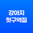 강아지 헛구역질 원인과 대처방법 알아보기 15