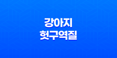 강아지 헛구역질 원인과 대처방법 알아보기 61