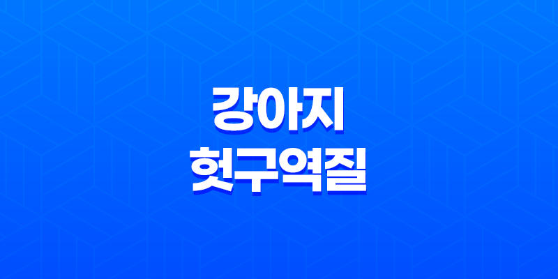 강아지 헛구역질 원인과 대처방법 알아보기 7