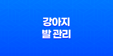 강아지 발 관리, 어떻게 할까요?(+ 발바닥 관리) 67