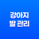 강아지 발 관리, 어떻게 할까요?(+ 발바닥 관리) 23