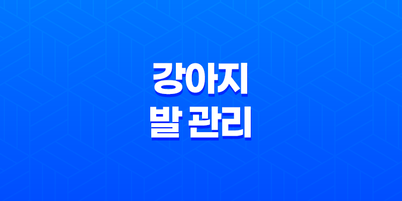 강아지 발 관리, 어떻게 할까요?(+ 발바닥 관리) 8 강아지 발 관리, 어떻게 할까요?(+ 발바닥 관리) 7