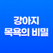 강아지 목욕의 비밀 – 주기, 이유, 주의사항 37