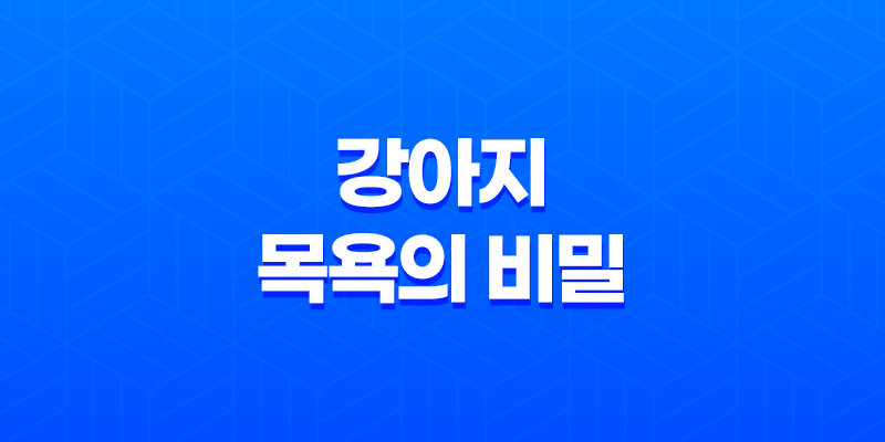 강아지 목욕의 비밀 – 주기, 이유, 주의사항 7