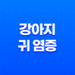 강아지 귀 염증 원인, 증상, 관리 및 예방법 23
