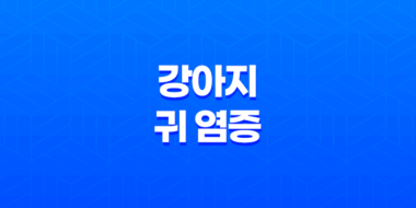 강아지 귀 염증 원인, 증상, 관리 및 예방법 62