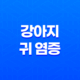 강아지 귀 염증 원인, 증상, 관리 및 예방법 27