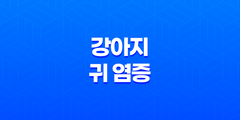 강아지 귀 염증 원인, 증상, 관리 및 예방법 8 강아지 귀 염증 원인, 증상, 관리 및 예방법 7