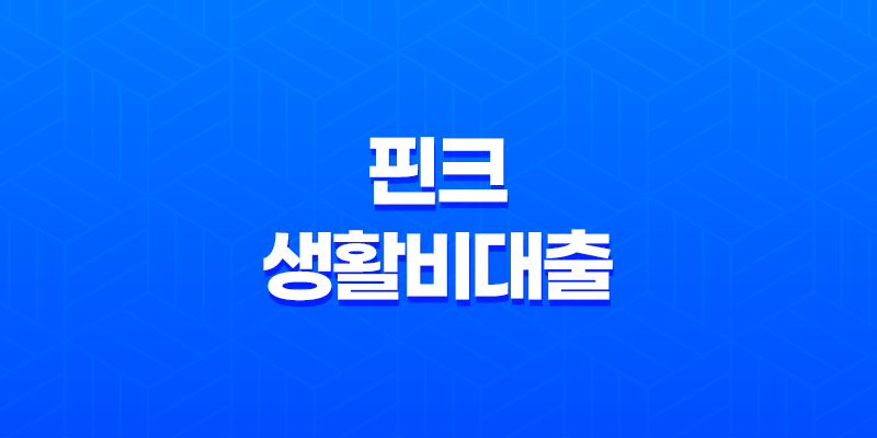핀크 생활비대출 - 금리, 한도, 조건 완벽정리 (ft. 비상금대출, 당일대출) 8 핀크 생활비대출 - 금리, 한도, 조건 완벽정리 (ft. 비상금대출, 당일대출) 7